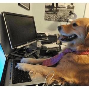 Meet your Posher, Mickey